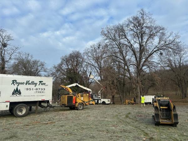 Rogue Valley Tree Care