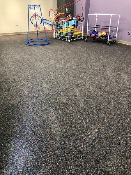 Carpet Cleaning Excellence