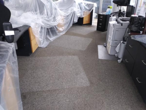 Carpet Cleaning Excellence
