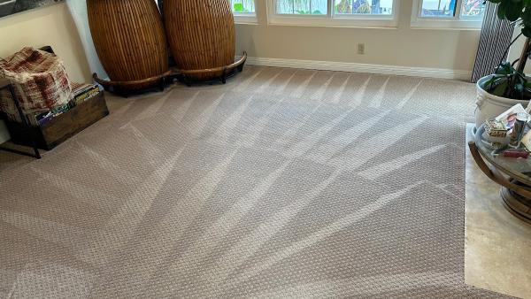 Coastal Green Carpet Clean