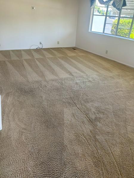 Coastal Green Carpet Clean