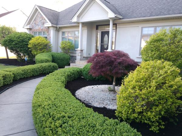Stonish's Lawn Care & Snowplowing