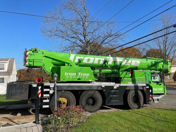 Iron Tree Service
