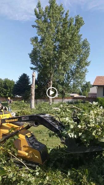 AAA Trees Done Right