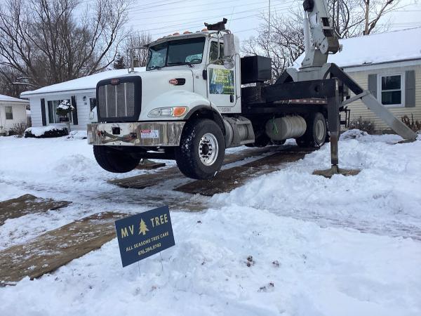 MV Tree LLC