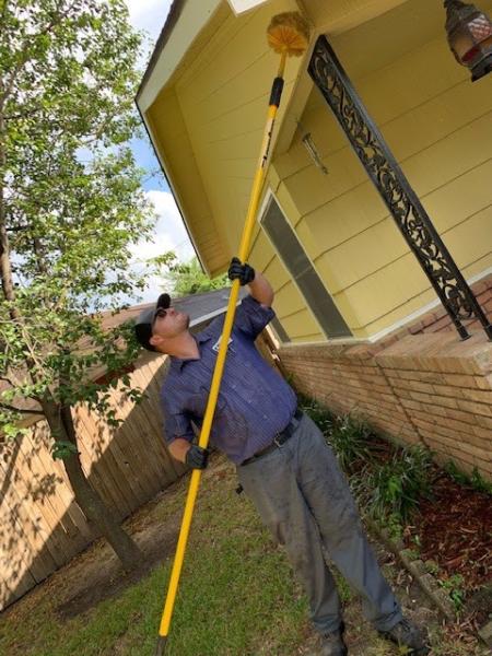99 Pest Solutions
