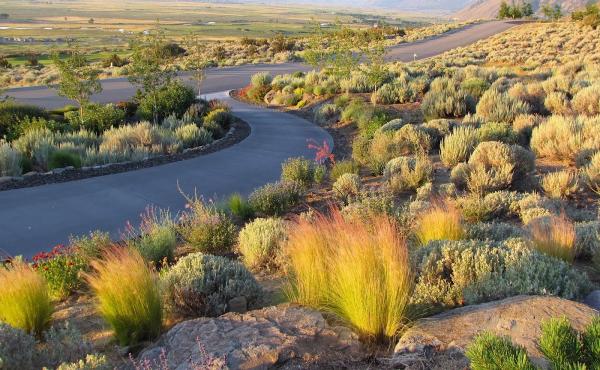 Green Lizard Landscape LLC