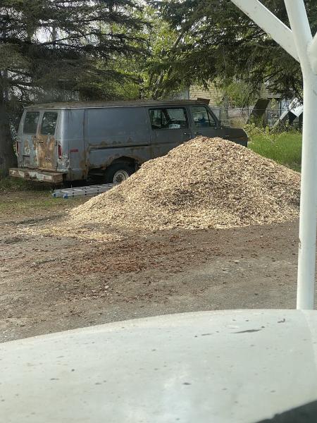 Affordable Tree Removal
