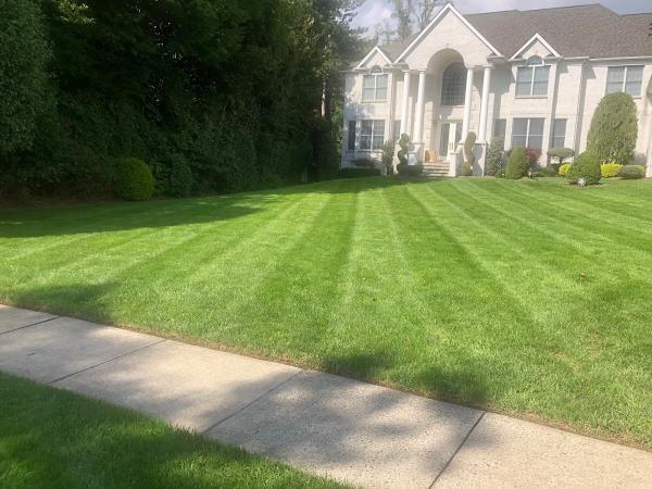 Broehls Lawn Maintenance Inc