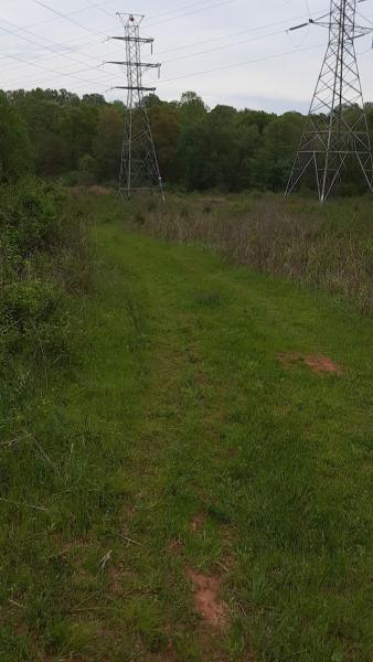 Edisto Landscape Management