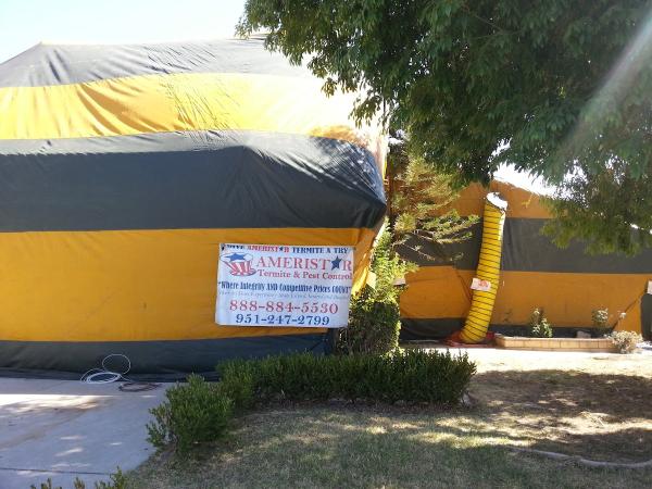 Ameristar Termite & Pest Control