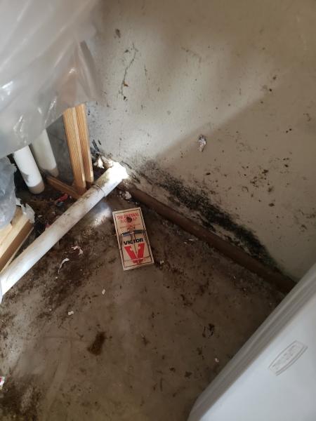 Ameristar Termite & Pest Control