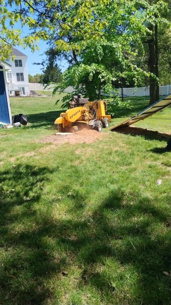 Firewood Unlimited Tree Service