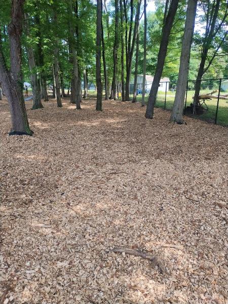 Firewood Unlimited Tree Service