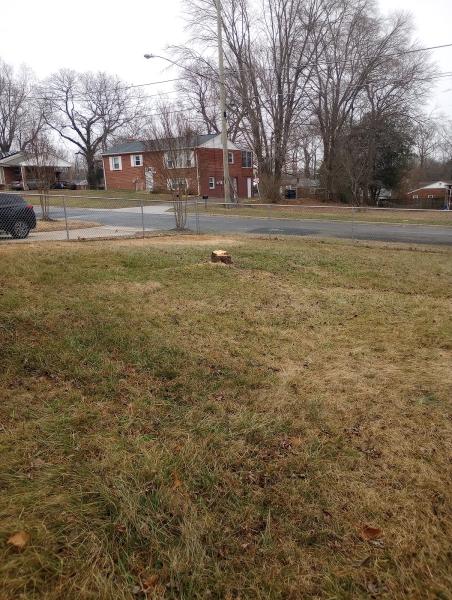 Firewood Unlimited Tree Service