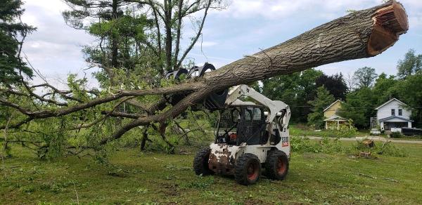 Up A Tree Tree Services