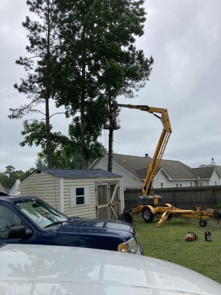 Marvins Tree Removal