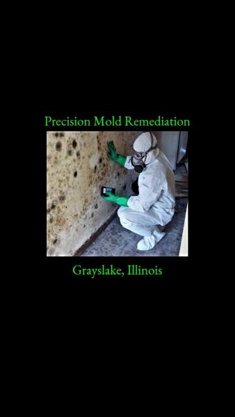 Precision Mold Remediation