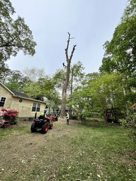 Anthonys Tree Service