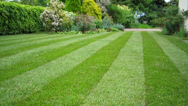 Stopa Landscaping LLC