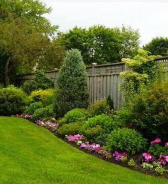 BP Landscape & Design