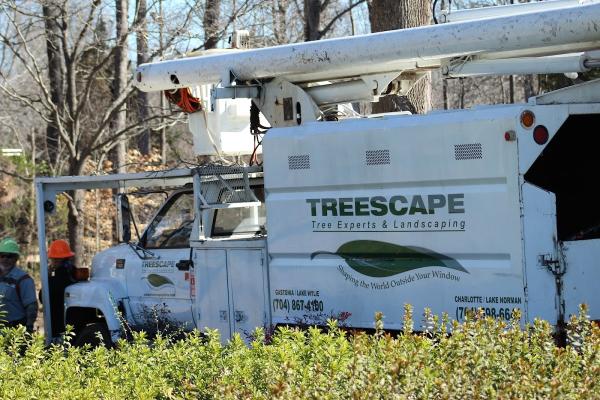 Treescape Tree Experts