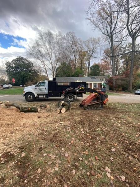 Treescape Tree Experts