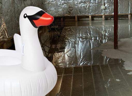 Fazio Waterproofing & Enterprises