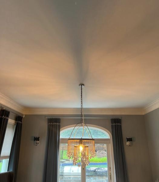 Premier Painting Inc.