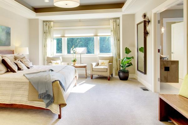 Carpet Cleaner New York