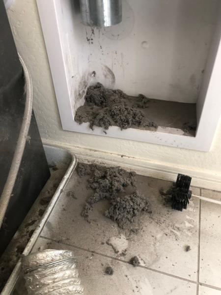 Willing & Able Carpet Cleaning