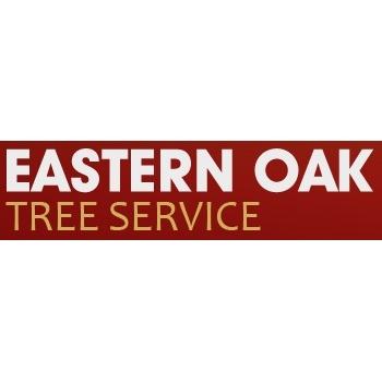 Eastern Oak Tree Service