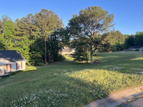 New Leaf Tree Service LLC