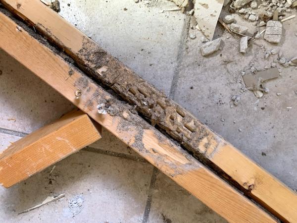 Reform Exterminating LLC