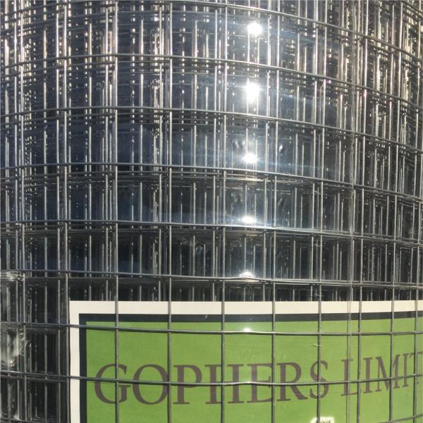 Gophers Limited Inc