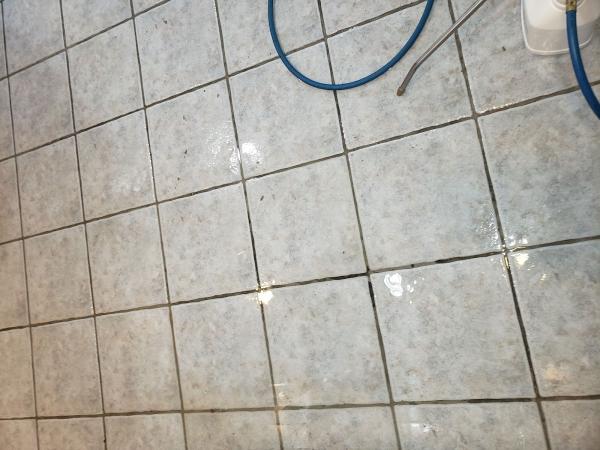 Carpet Beautifier