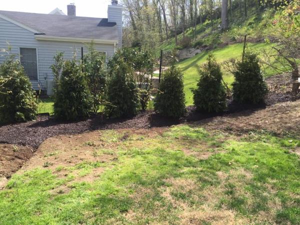 Matt Goodwin Landscaping