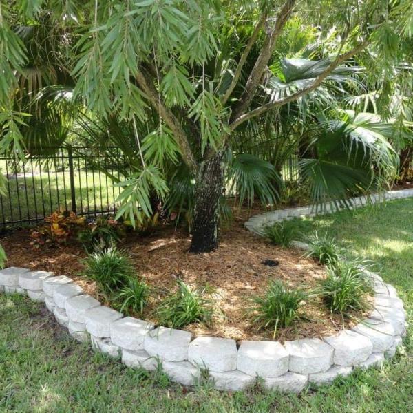 Beautify Your Yard