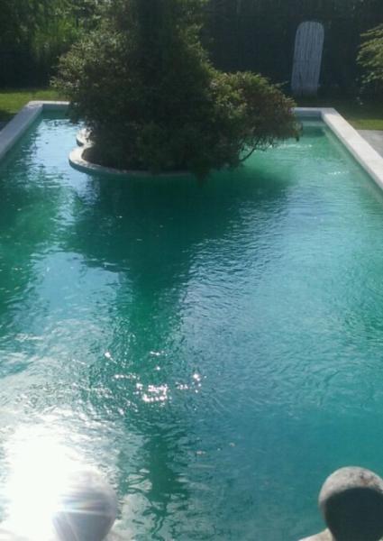 J Tortorella Swimming Pools Custom Gunite Pools