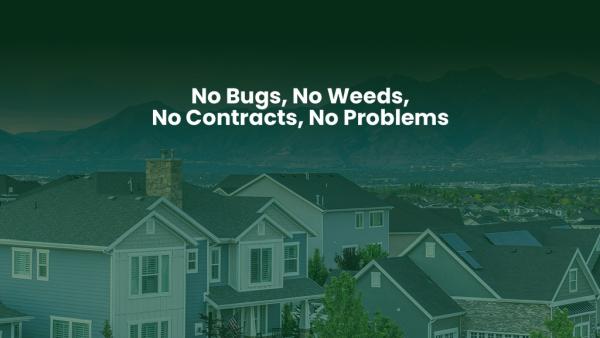Apex Pest and Lawn