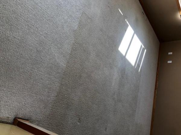 Level 8 Steam Cleaning & Restoration