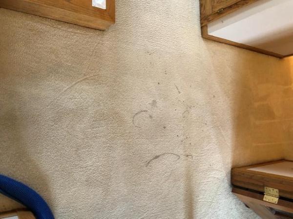 Level 8 Steam Cleaning & Restoration