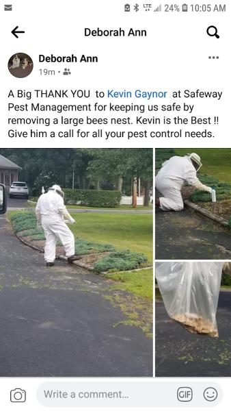 Safeway Pest Management