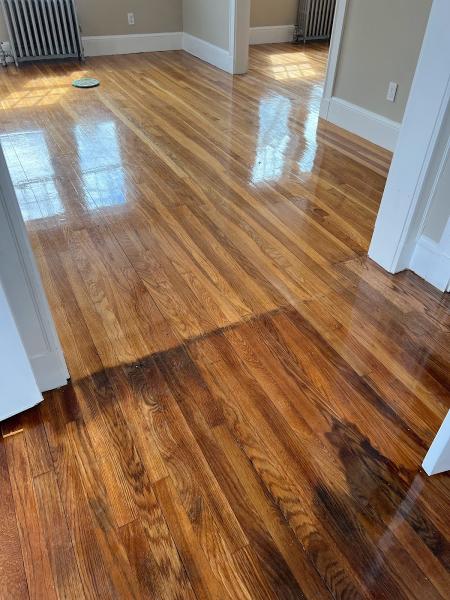 Dustlessfloorsanders.com