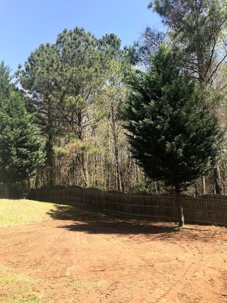 Georgia Site Works
