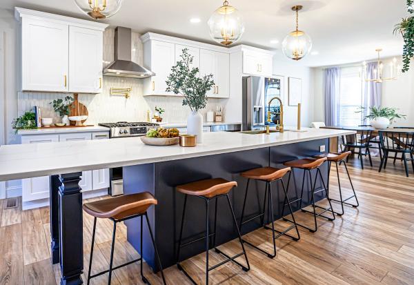 Ocean Cabinet & Countertop