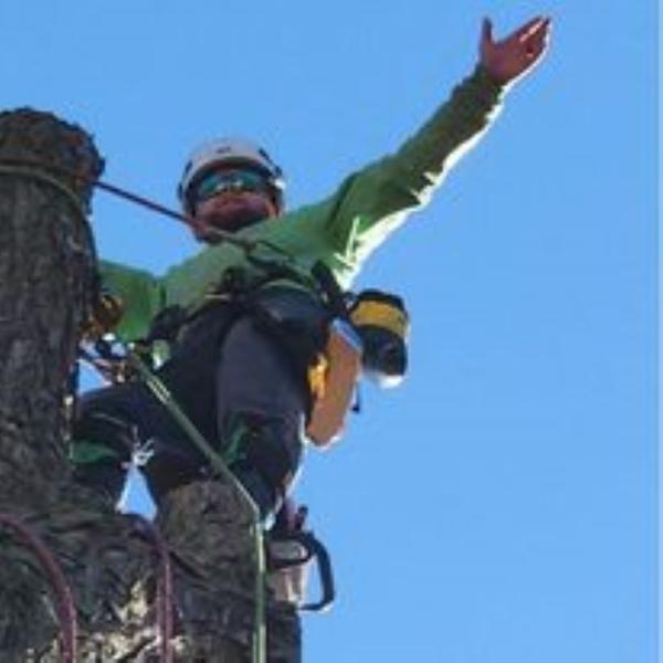 Specialty Family Tree LLC