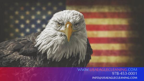 USA Eagle Cleaning Services