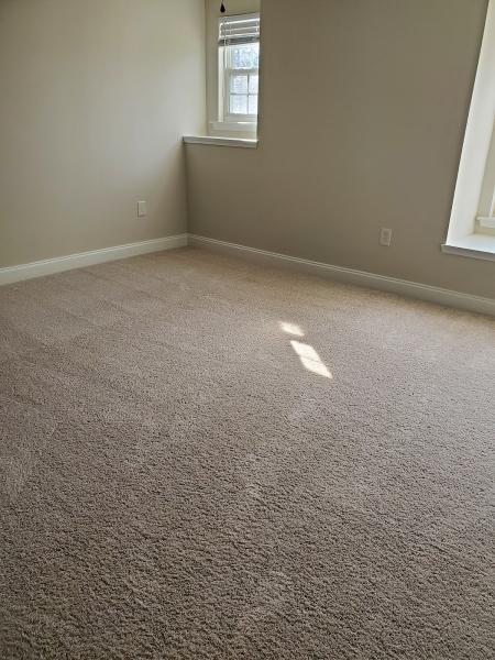 The Carpet Guy
