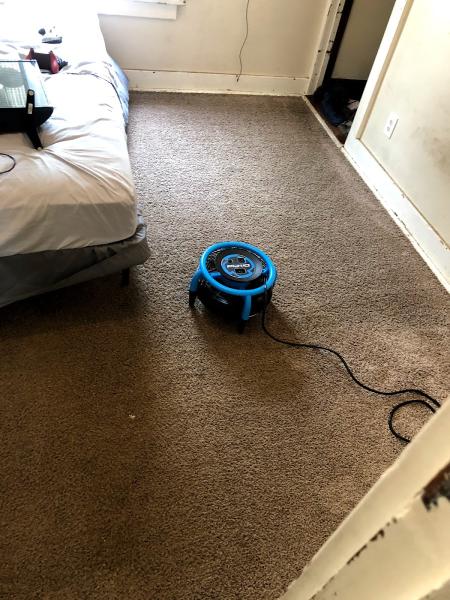 Around the Clock Carpet Cleaner
